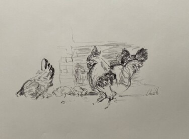 Poules Coq poussins